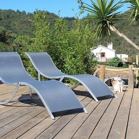 Vida Pura Guesthouse Odeceixe Eksteriør billede